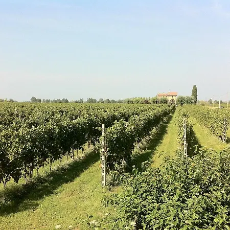 Villa Cascina Tabachera X10 Sirmione Garda Pozzolengo